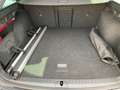 Skoda Octavia Combi RS 2.0 TDI 4x4 DSG MATRIX+NAVI+AHK Grijs - thumbnail 14