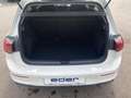 Volkswagen Golf 4Me TSI Weiß - thumbnail 26