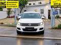 Volkswagen Tiguan Tiguan 2,0 TDI Cool BMT Cool Weiß - thumbnail 7