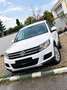 Volkswagen Tiguan Tiguan 2,0 TDI Cool BMT Cool Weiß - thumbnail 2