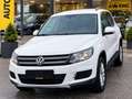 Volkswagen Tiguan Tiguan 2,0 TDI Cool BMT Cool Weiß - thumbnail 1