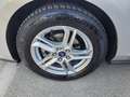 Ford Focus Focus 1.5 ecoblue Business 120cv Argent - thumbnail 13