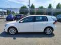 Volkswagen Golf 5p 1.4 tsi Highline dsg Wit - thumbnail 3