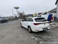 SEAT Leon Leon SP 1,0 TSI Reference Reference Weiß - thumbnail 8
