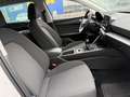 SEAT Leon Leon SP 1,0 TSI Reference Reference Weiß - thumbnail 12