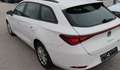SEAT Leon Leon SP 1,0 TSI Reference Reference Weiß - thumbnail 14