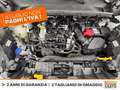 Ford Puma 1.0 ecoboost h titanium s&s 125cv Alb - thumbnail 12