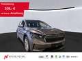 Skoda Enyaq iV 50 LOFT LED+NAVI+ACC+SHZ+DAB+KAMERA+19Z Grau - thumbnail 1