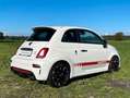 Abarth 595 Competizione | 70° ANNIVERSARIO! Weiß - thumbnail 4