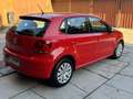 Volkswagen Polo 5p 1.4 fsi Comfortline 86cv - thumbnail 6