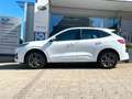 Ford Kuga 2.5 Duratec Plug-In Hybrid ST-Line Weiß - thumbnail 5