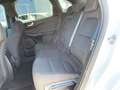 Ford Kuga 2.5 Duratec Plug-In Hybrid ST-Line Weiß - thumbnail 10