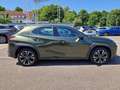 Lexus UX 250h Luxury mit ESD und AHK Зелений - thumbnail 6