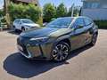 Lexus UX 250h Luxury mit ESD und AHK Зелений - thumbnail 1