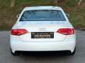 Audi A4 2,0 TDI S Line|1.Besitz| nur 142.000KM|wundersc... Weiß - thumbnail 10