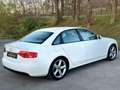 Audi A4 2,0 TDI S Line|1.Besitz| nur 142.000KM|wundersc... Weiß - thumbnail 8