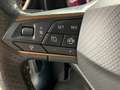 CUPRA Leon Alpha 1.5 TSI Grau - thumbnail 14