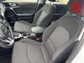 Kia Ceed SW / cee'd SW Spirit Totwinkelassistent El. Heckklappe PDCv+h Rü Weiß - thumbnail 14