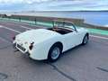 Austin-Healey Sprite Frogeye - thumbnail 27