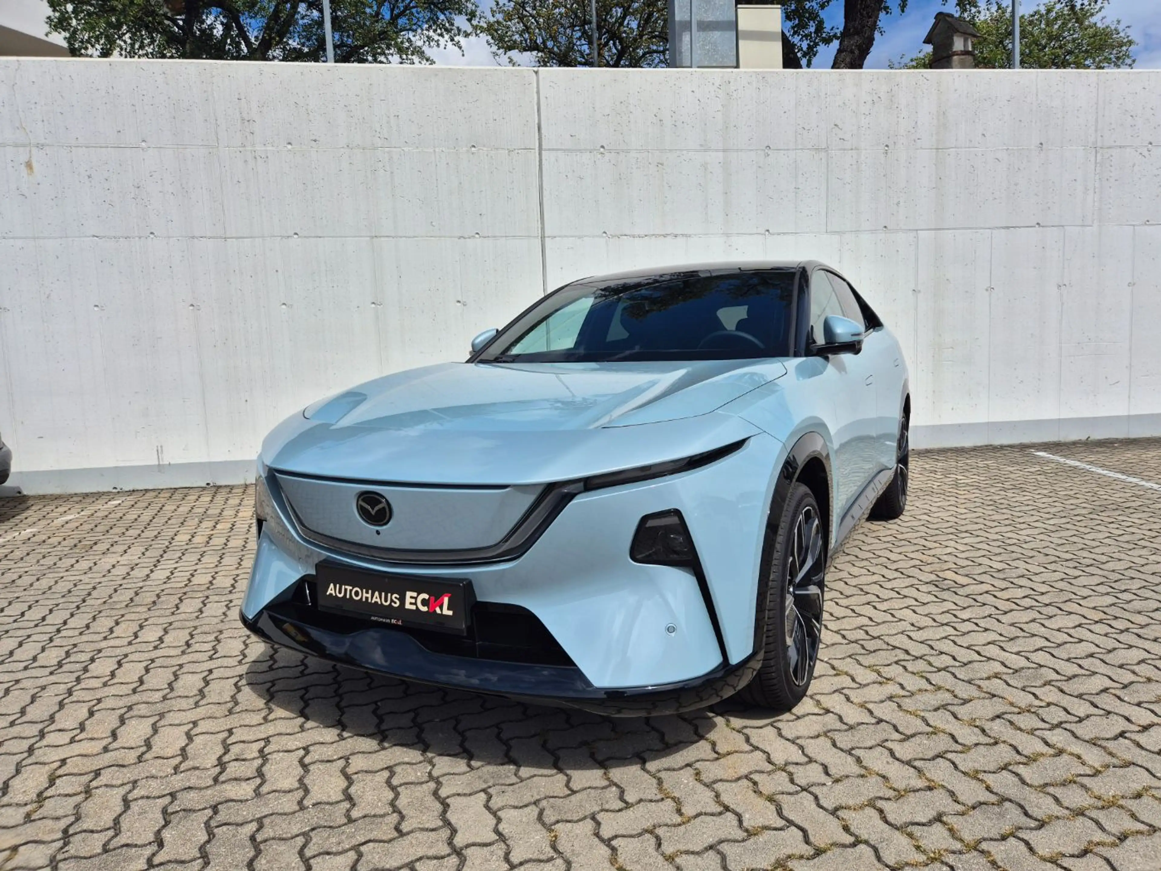 Mazda CX-6e EV 258PS AT RWD Takumi  21Zoll  PABS AUT — photo 4