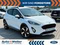 Ford Fiesta Active 1.0 EcoBoost KeyFree 1. Hand Blanc - thumbnail 1