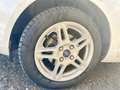 Ford Fiesta Fiesta VI 2013 5p 1.5 tdci Titanium 75cv Bianco - thumbnail 7