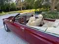 Bentley Azure Azure 6.8i A Rot - thumbnail 8