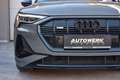 Audi e-tron e-tron 50 quattro S-line *MATRIX*B&O* Grau - thumbnail 4