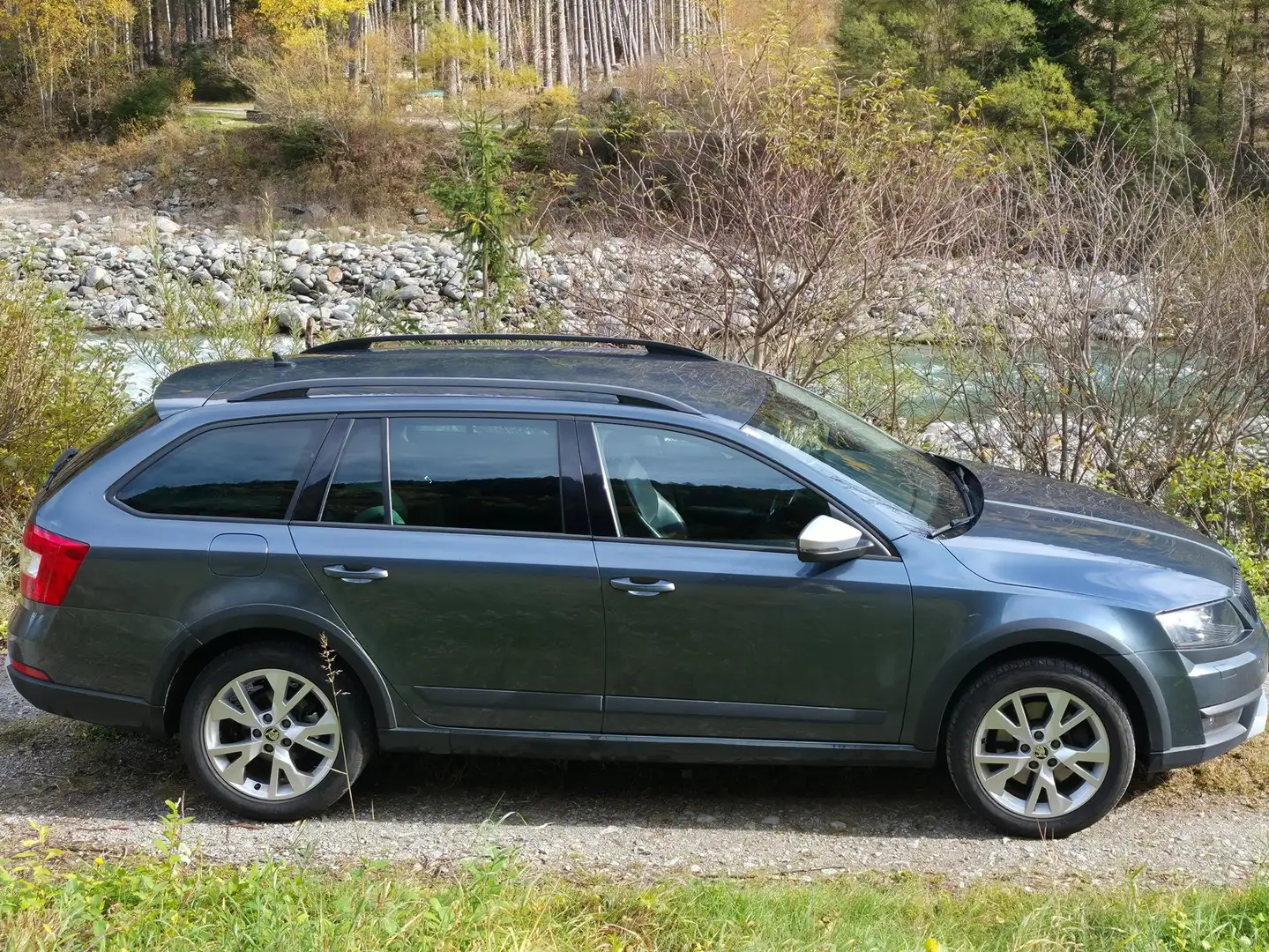 Skoda Octavia Octavia Combi 2,0 TDI 4x4 Scout DSG Scout Grau - 1