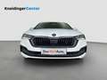 Skoda Octavia Premium TDI DSG Wit - thumbnail 2