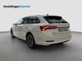 Skoda Octavia Premium TDI DSG Wit - thumbnail 3