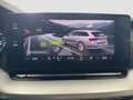 Skoda Octavia Premium TDI DSG Wit - thumbnail 11