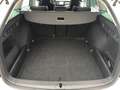 Skoda Octavia Premium TDI DSG Wit - thumbnail 15