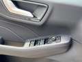 Ford Kuga Hybrid ST-Line AHK NAVI/RFK PANORAMADACH WINTER-PA Biały - thumbnail 12