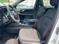 Ford Kuga Hybrid ST-Line AHK NAVI/RFK PANORAMADACH WINTER-PA Bílá - thumbnail 7