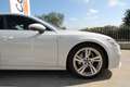 Audi A7 Spb 40 tdi 204cv auto Business Plus S-Line| 2021 Blanc - thumbnail 23