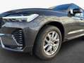 Volvo XC60 XC60 B4 D Plus Dark FIS LED SH PAN Grau - thumbnail 6