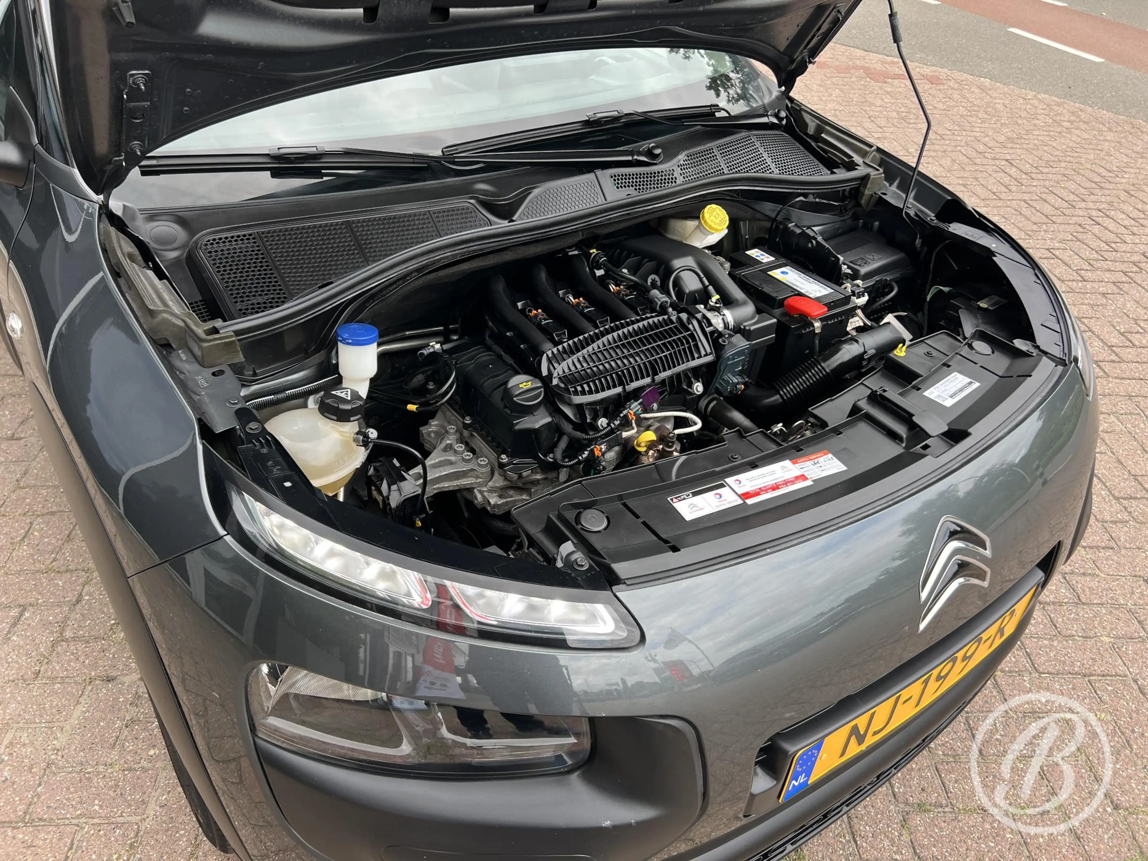 Citroen C4 Cactus 1.2 82 pk Business Shine Trekhaak — photo 43