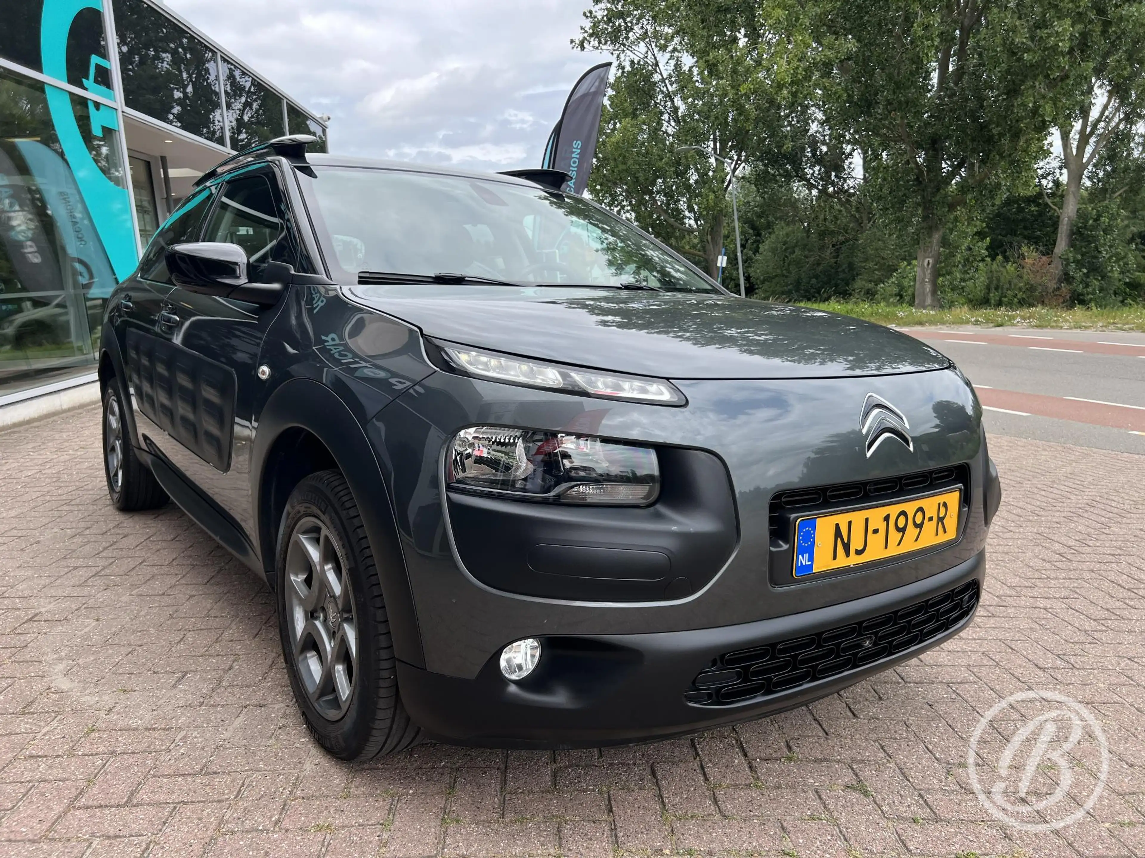 Citroen C4 Cactus 1.2 82 pk Business Shine Trekhaak — photo 33