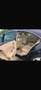 Mercedes-Benz 350 350 CDI 7G-TRONIC Siyah - thumbnail 6