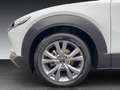 Mazda CX-30 2024 e-SKYACTIV G Exclusive-line DASO DESI *Automa Weiß - thumbnail 15