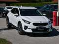 Kia XCeed Xceed 1,6 CRDI SCR Platin DCT Aut. Weiß - thumbnail 3