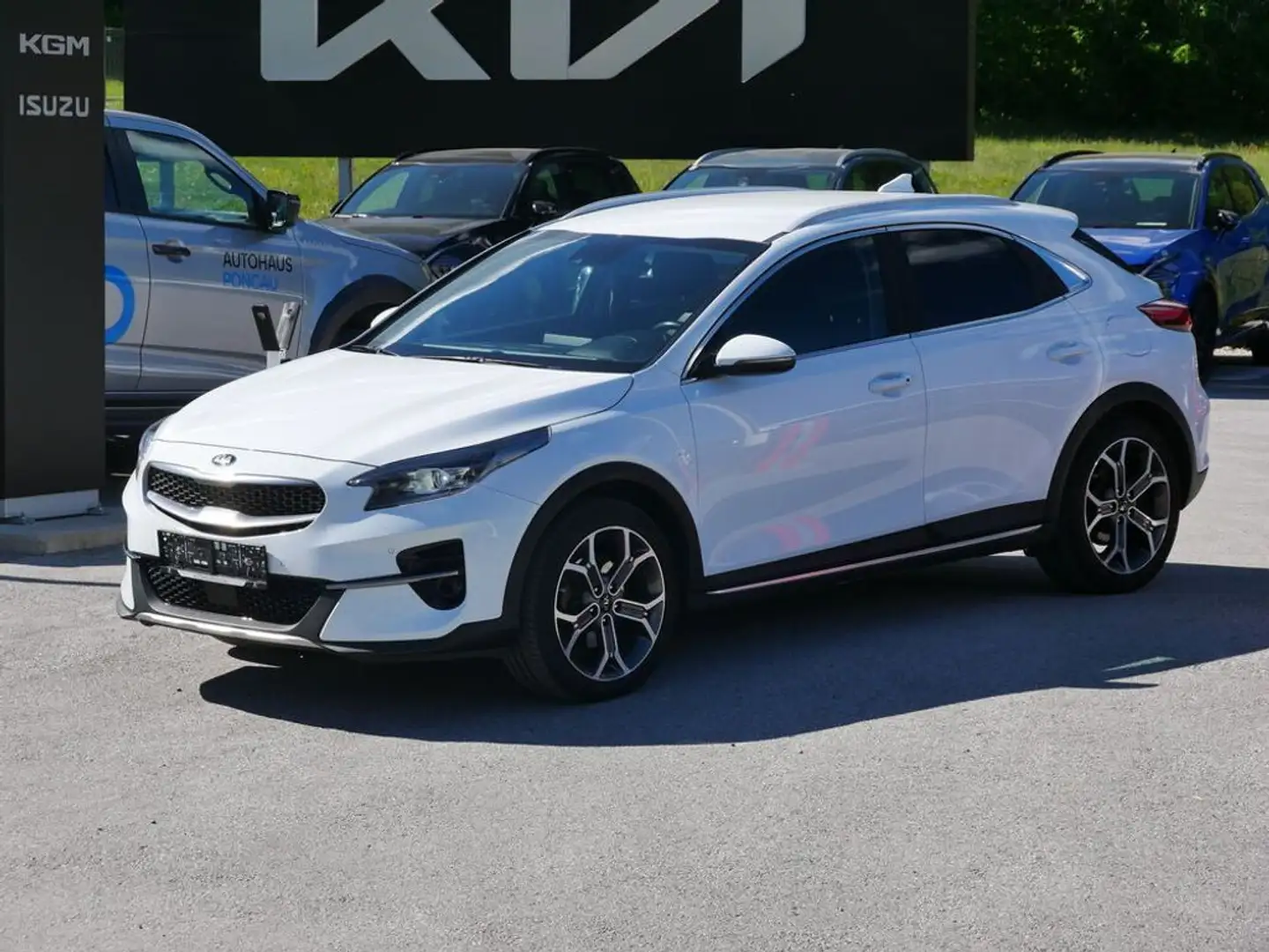 Kia XCeed Xceed 1,6 CRDI SCR Platin DCT Aut. Weiß - 1