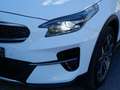 Kia XCeed Xceed 1,6 CRDI SCR Platin DCT Aut. Weiß - thumbnail 24