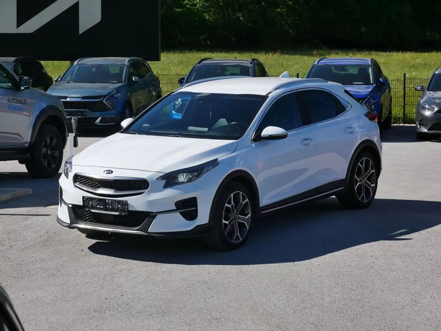 Kia XCeed Xceed 1,6 CRDI SCR Platin DCT Aut. Weiß - 2
