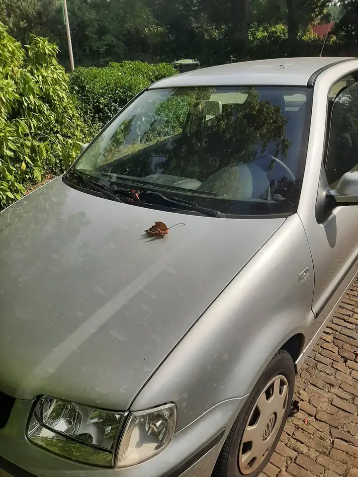Volkswagen Polo 1.4 Trendline, foto 3