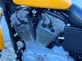 Harley-Davidson Sportster 883 883 Custom Jaune - thumbnail 12