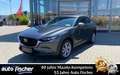 Mazda CX-30 2.5 (140PS) Autom. Exclusive Allwetterr. 3 Gris - thumbnail 1