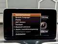 Mercedes-Benz X 250 X 250 d 4Matic Doppelkabine Grau - thumbnail 12
