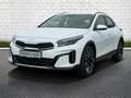 Kia XCeed 1.6T 150 DCT VISION KOMFORT Bianco - thumbnail 11